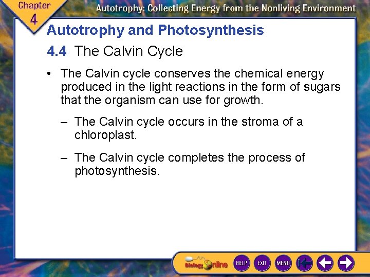 Autotrophy and Photosynthesis 4. 4 The Calvin Cycle • The Calvin cycle conserves the Autotrophy and Photosynthesis 4. 4 The Calvin Cycle • The Calvin cycle conserves the