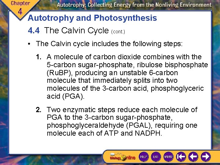 Autotrophy and Photosynthesis 4. 4 The Calvin Cycle (cont. ) • The Calvin cycle Autotrophy and Photosynthesis 4. 4 The Calvin Cycle (cont. ) • The Calvin cycle