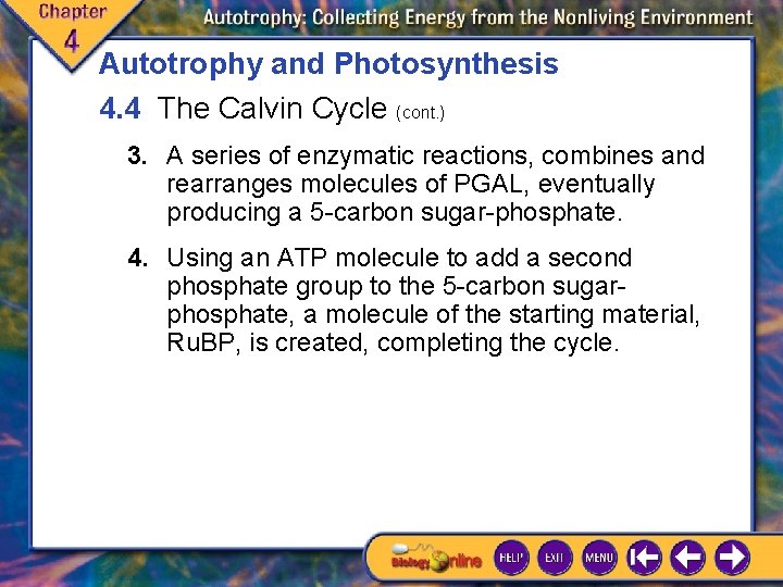 Autotrophy and Photosynthesis 4. 4 The Calvin Cycle (cont. ) 3. A series of Autotrophy and Photosynthesis 4. 4 The Calvin Cycle (cont. ) 3. A series of