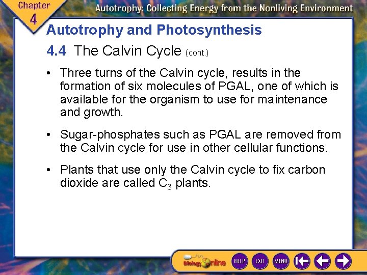 Autotrophy and Photosynthesis 4. 4 The Calvin Cycle (cont. ) • Three turns of Autotrophy and Photosynthesis 4. 4 The Calvin Cycle (cont. ) • Three turns of