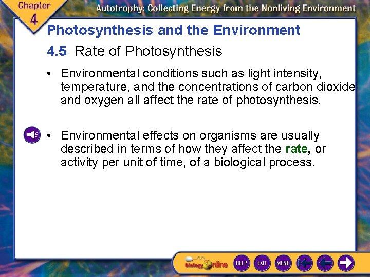 Photosynthesis and the Environment 4. 5 Rate of Photosynthesis • Environmental conditions such as Photosynthesis and the Environment 4. 5 Rate of Photosynthesis • Environmental conditions such as