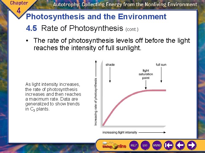 Photosynthesis and the Environment 4. 5 Rate of Photosynthesis (cont. ) • The rate Photosynthesis and the Environment 4. 5 Rate of Photosynthesis (cont. ) • The rate