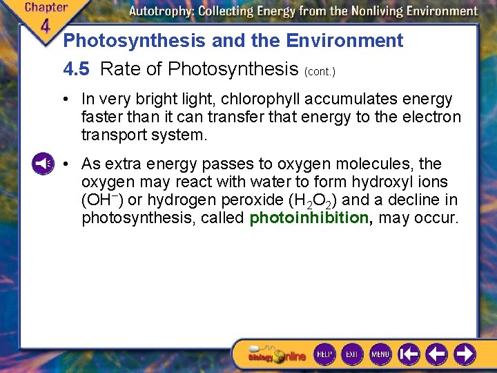 Photosynthesis and the Environment 4. 5 Rate of Photosynthesis (cont. ) • In very Photosynthesis and the Environment 4. 5 Rate of Photosynthesis (cont. ) • In very