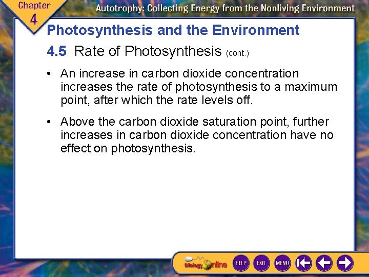 Photosynthesis and the Environment 4. 5 Rate of Photosynthesis (cont. ) • An increase Photosynthesis and the Environment 4. 5 Rate of Photosynthesis (cont. ) • An increase