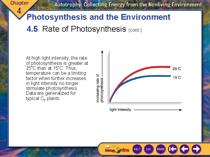 Photosynthesis and the Environment 4. 5 Rate of Photosynthesis (cont. ) At high light Photosynthesis and the Environment 4. 5 Rate of Photosynthesis (cont. ) At high light
