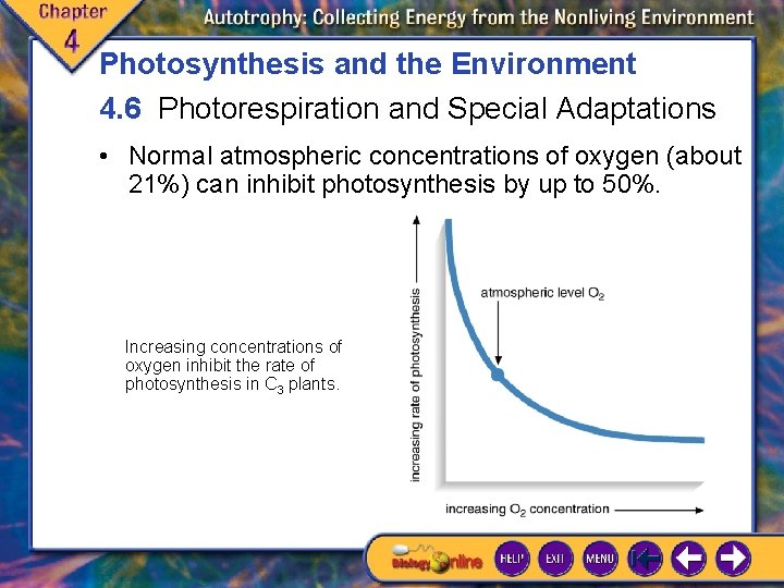 Photosynthesis and the Environment 4. 6 Photorespiration and Special Adaptations • Normal atmospheric concentrations Photosynthesis and the Environment 4. 6 Photorespiration and Special Adaptations • Normal atmospheric concentrations