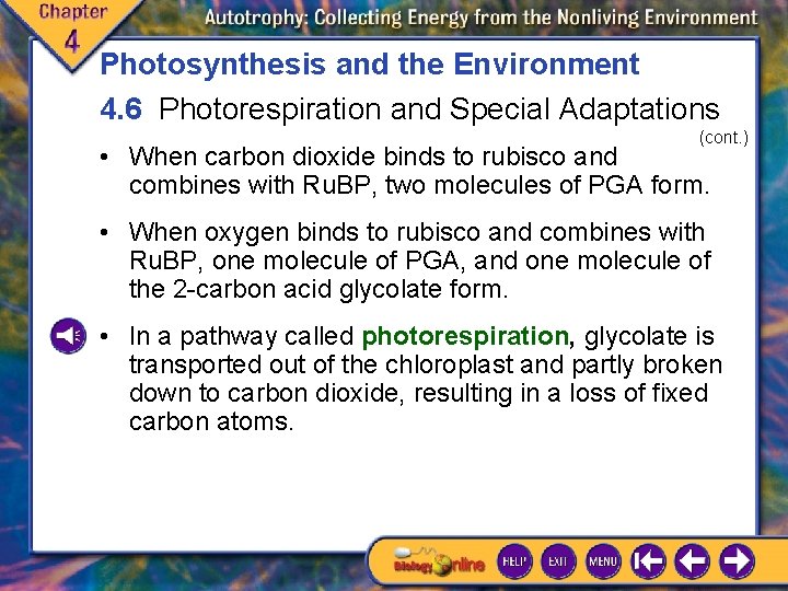 Photosynthesis and the Environment 4. 6 Photorespiration and Special Adaptations (cont. ) • When Photosynthesis and the Environment 4. 6 Photorespiration and Special Adaptations (cont. ) • When