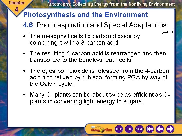 Photosynthesis and the Environment 4. 6 Photorespiration and Special Adaptations • The mesophyll cells Photosynthesis and the Environment 4. 6 Photorespiration and Special Adaptations • The mesophyll cells