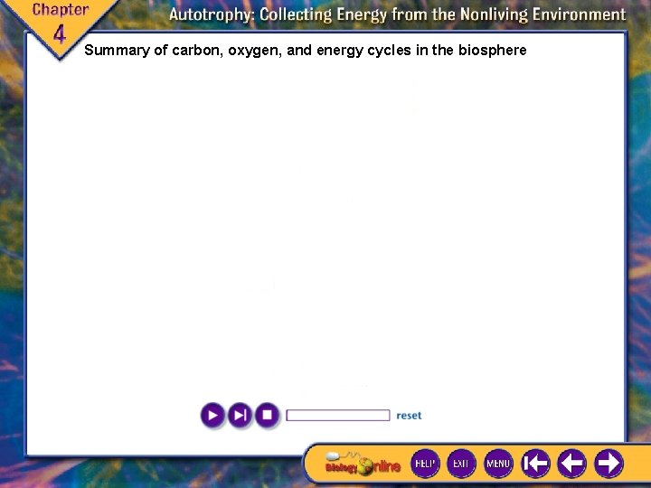 Summary of carbon, oxygen, and energy cycles in the biosphere Summary of carbon, oxygen, and energy cycles in the biosphere