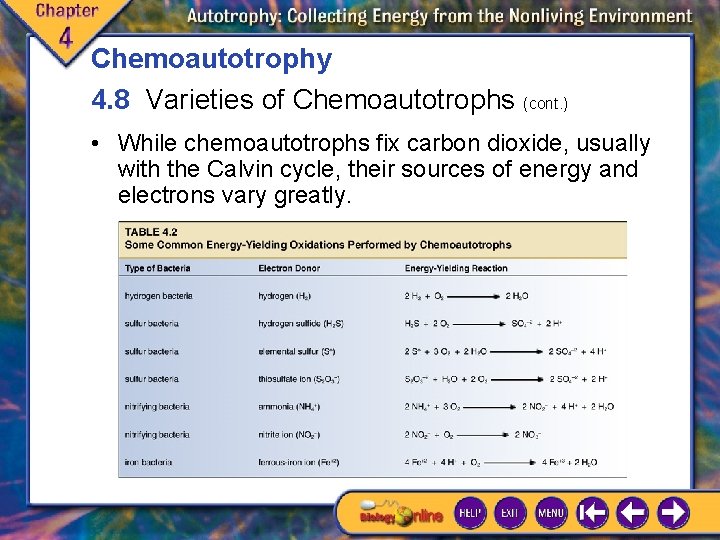Chemoautotrophy 4. 8 Varieties of Chemoautotrophs (cont. ) • While chemoautotrophs fix carbon dioxide, Chemoautotrophy 4. 8 Varieties of Chemoautotrophs (cont. ) • While chemoautotrophs fix carbon dioxide,