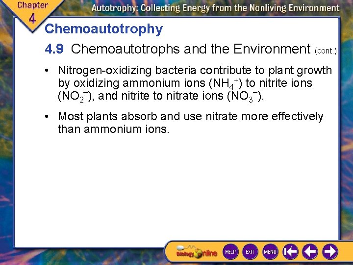 Chemoautotrophy 4. 9 Chemoautotrophs and the Environment (cont. ) • Nitrogen-oxidizing bacteria contribute to Chemoautotrophy 4. 9 Chemoautotrophs and the Environment (cont. ) • Nitrogen-oxidizing bacteria contribute to