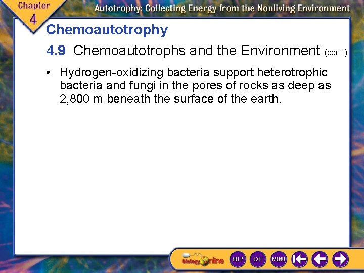 Chemoautotrophy 4. 9 Chemoautotrophs and the Environment (cont. ) • Hydrogen-oxidizing bacteria support heterotrophic Chemoautotrophy 4. 9 Chemoautotrophs and the Environment (cont. ) • Hydrogen-oxidizing bacteria support heterotrophic