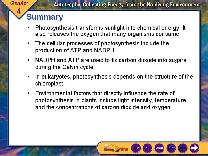 Summary • Photosynthesis transforms sunlight into chemical energy. It also releases the oxygen that Summary • Photosynthesis transforms sunlight into chemical energy. It also releases the oxygen that