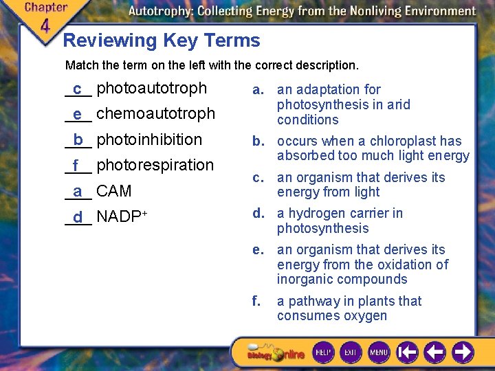 Reviewing Key Terms Match the term on the left with the correct description. ___ Reviewing Key Terms Match the term on the left with the correct description. ___