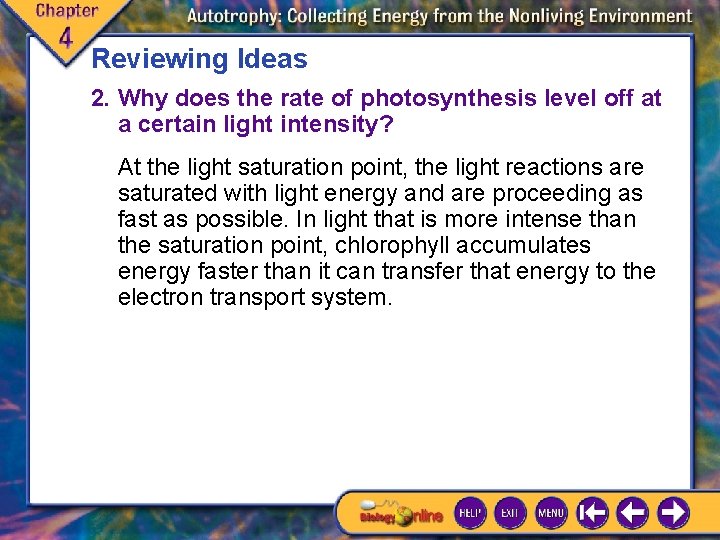 Reviewing Ideas 2. Why does the rate of photosynthesis level off at a certain Reviewing Ideas 2. Why does the rate of photosynthesis level off at a certain