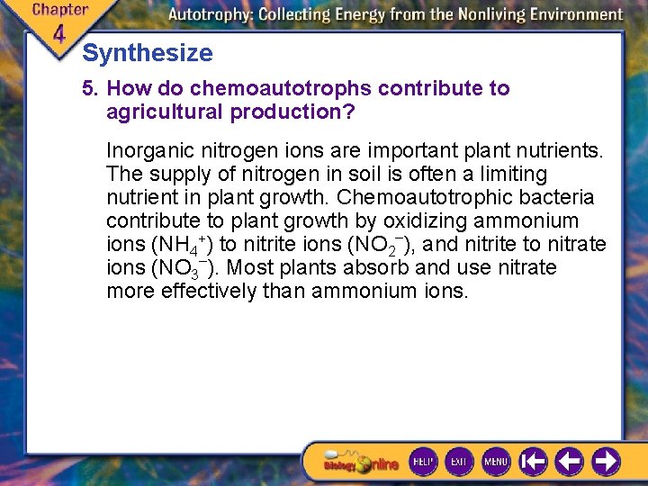 Synthesize 5. How do chemoautotrophs contribute to agricultural production? Inorganic nitrogen ions are important Synthesize 5. How do chemoautotrophs contribute to agricultural production? Inorganic nitrogen ions are important