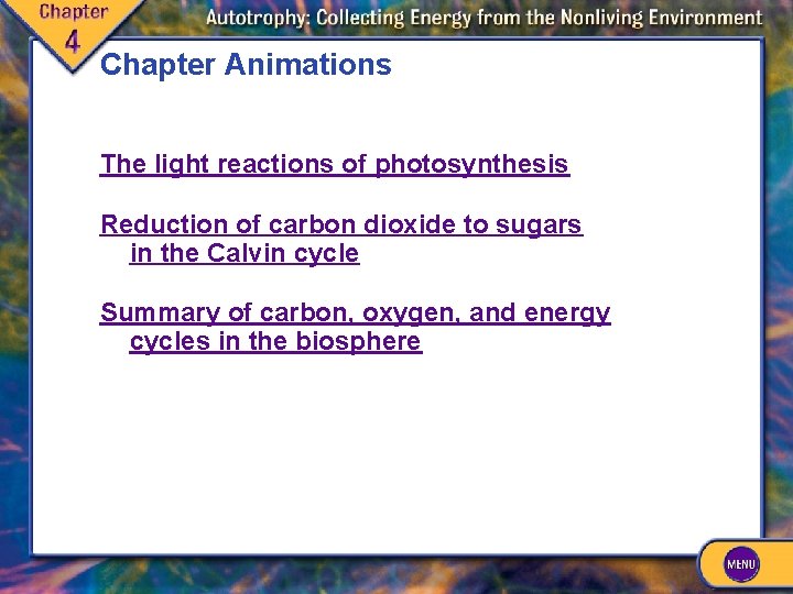 Chapter Animations The light reactions of photosynthesis Reduction of carbon dioxide to sugars in Chapter Animations The light reactions of photosynthesis Reduction of carbon dioxide to sugars in