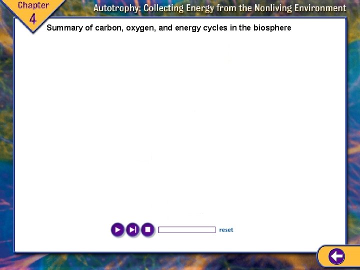 Summary of carbon, oxygen, and energy cycles in the biosphere Summary of carbon, oxygen, and energy cycles in the biosphere
