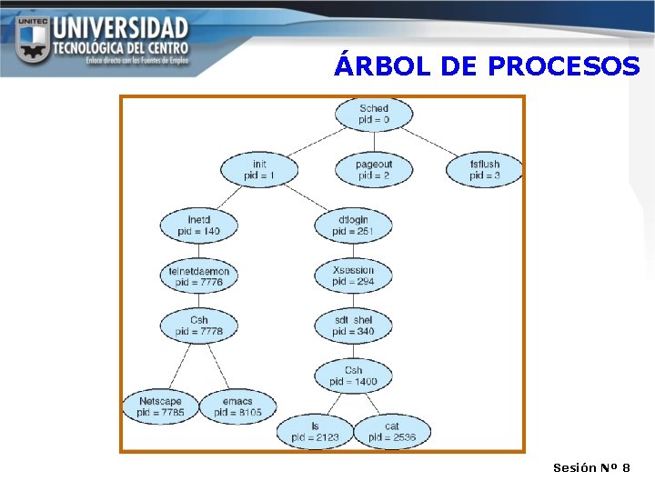 ÁRBOL DE PROCESOS Sesión Nº 8 ÁRBOL DE PROCESOS Sesión Nº 8