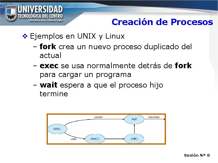 Creación de Procesos v Ejemplos en UNIX y Linux – fork crea un nuevo Creación de Procesos v Ejemplos en UNIX y Linux – fork crea un nuevo