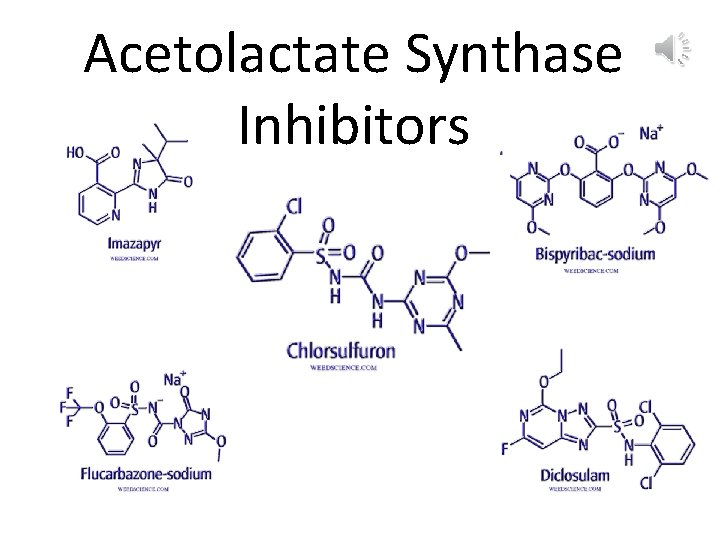 Acetolactate Synthase Inhibitors 