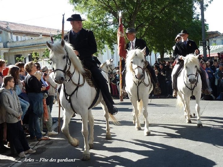  Arles – Fête des gardians 