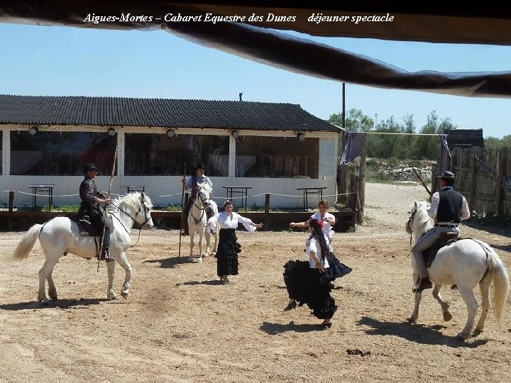  Aigues-Mortes – Cabaret Equestre des Dunes déjeuner spectacle 