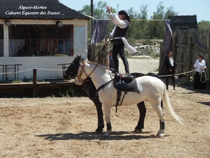 Aigues-Mortes Cabaret Equestre des Dunes 