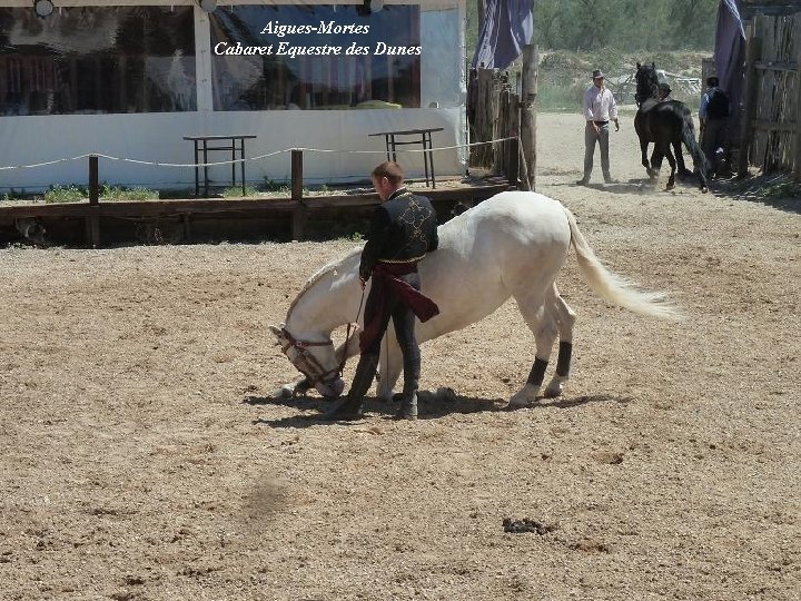  Aigues-Mortes Cabaret Equestre des Dunes 