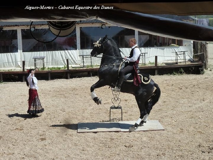 Aigues-Mortes – Cabaret Equestre des Dunes 