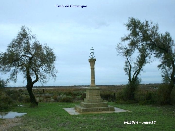 Croix de Camargue 04. 2014 – mic 018 