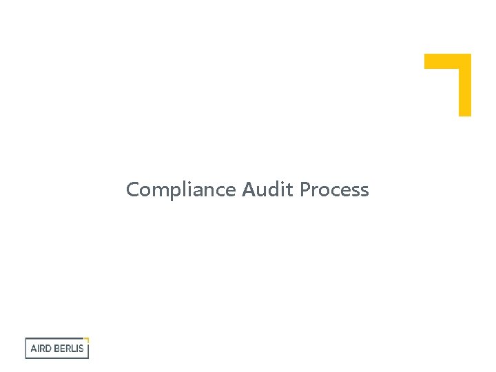 Compliance Audit Process 