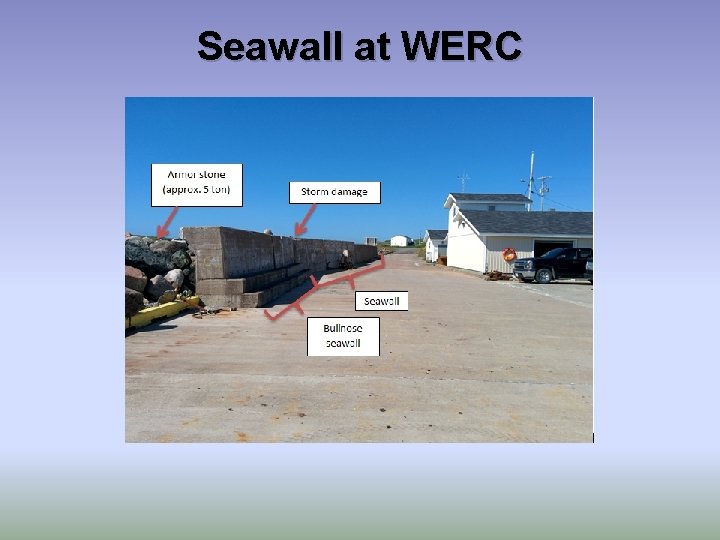 Seawall at WERC 