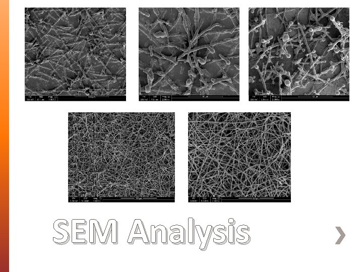 SEM Analysis 