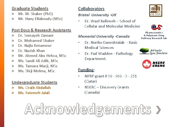 Graduate Students » Mr. M. Shaker (Ph. D) » Mr. Hany Ellaboudy (MSc) Post