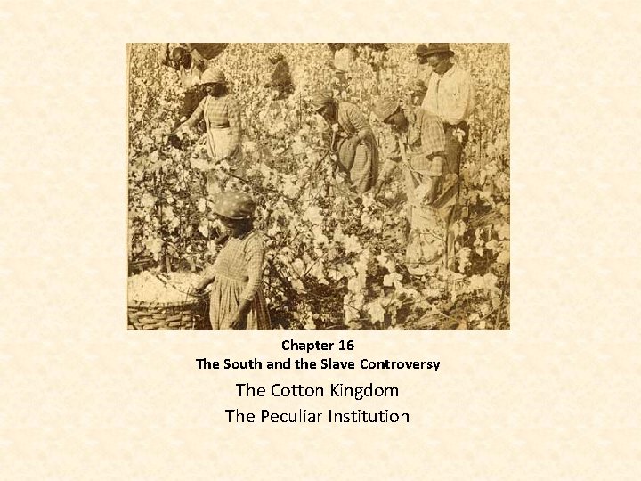 Chapter 16 The South and the Slave Controversy The Cotton Kingdom The Peculiar Institution