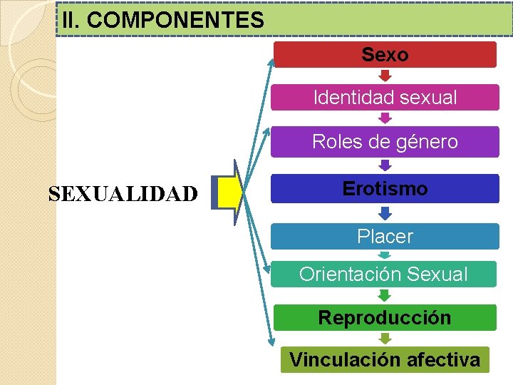 II. COMPONENTES Sexo Identidad sexual Roles de género SEXUALIDAD Erotismo Placer Orientación Sexual Reproducción II. COMPONENTES Sexo Identidad sexual Roles de género SEXUALIDAD Erotismo Placer Orientación Sexual Reproducción