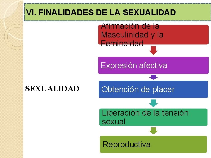 VI. FINALIDADES DE LA SEXUALIDAD Afirmación de la Masculinidad y la Femineidad Expresión afectiva VI. FINALIDADES DE LA SEXUALIDAD Afirmación de la Masculinidad y la Femineidad Expresión afectiva