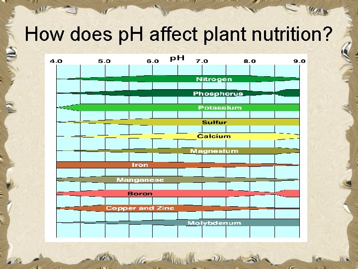 How does p. H affect plant nutrition? 