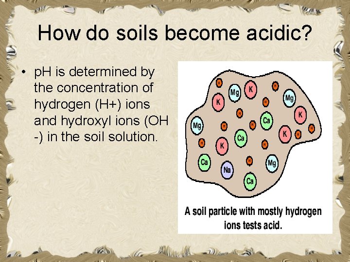 How do soils become acidic? • p. H is determined by the concentration of