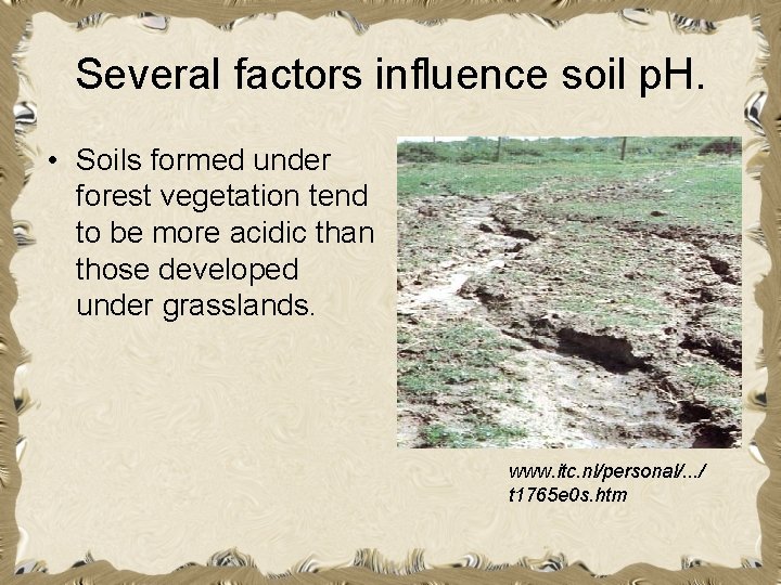 Several factors influence soil p. H. • Soils formed under forest vegetation tend to
