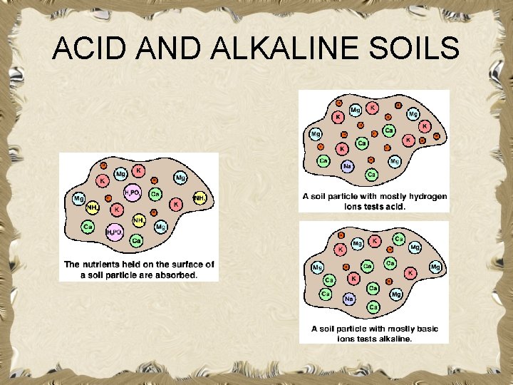 ACID AND ALKALINE SOILS 