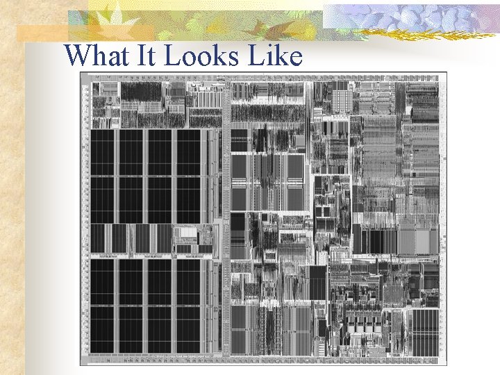 What It Looks Like 