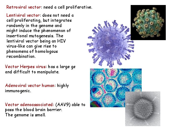 Retroviral vector: need a cell proliferative. Lentiviral vector: does not need a cell proliferating,