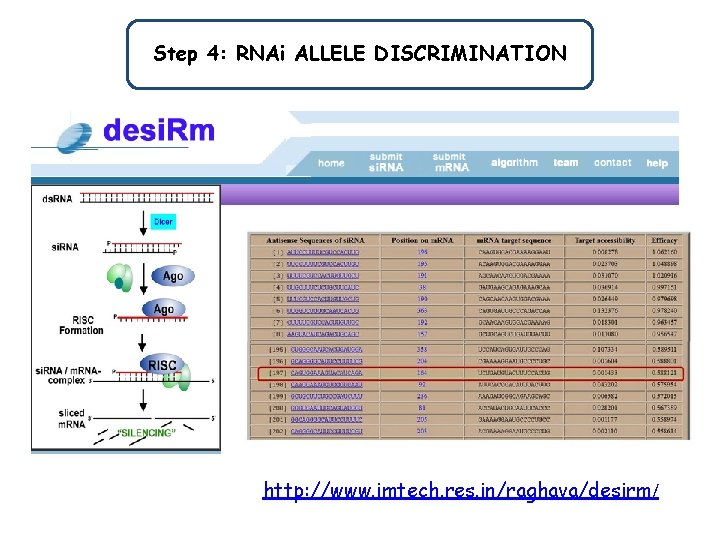 Step 4: RNAi ALLELE DISCRIMINATION http: //www. imtech. res. in/raghava/desirm/ 