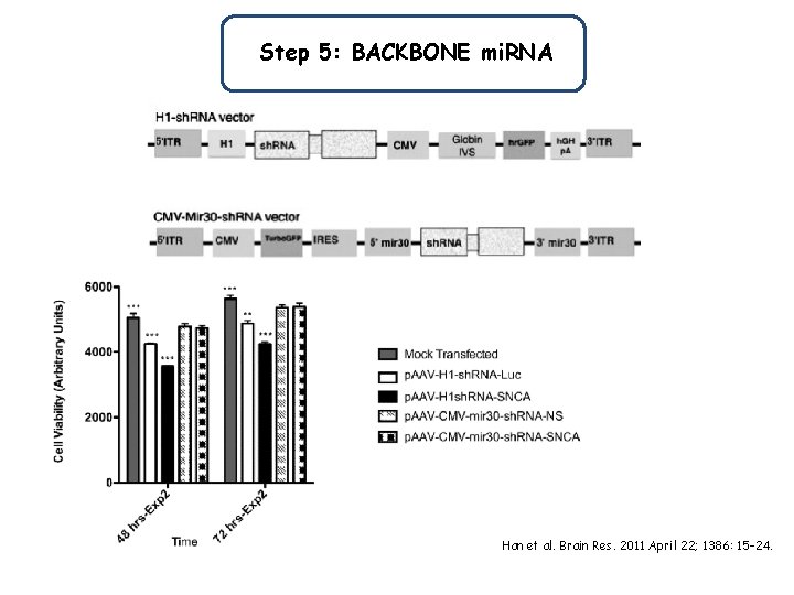 Step 5: BACKBONE mi. RNA Han et al. Brain Res. 2011 April 22; 1386: