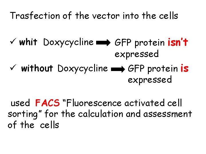 Trasfection of the vector into the cells ü whit Doxycycline ü without Doxycycline GFP