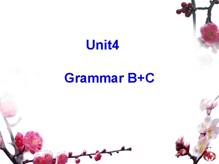 Unit 4 Grammar B+C 