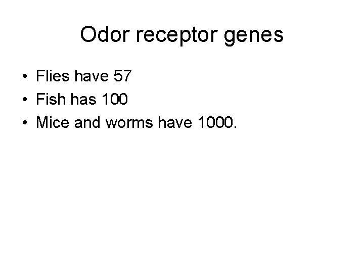 Odor receptor genes • Flies have 57 • Fish has 100 • Mice and