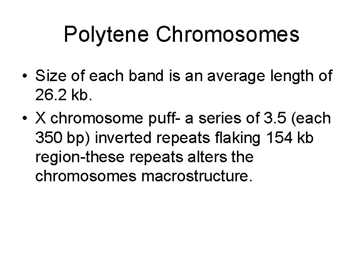 Polytene Chromosomes • Size of each band is an average length of 26. 2